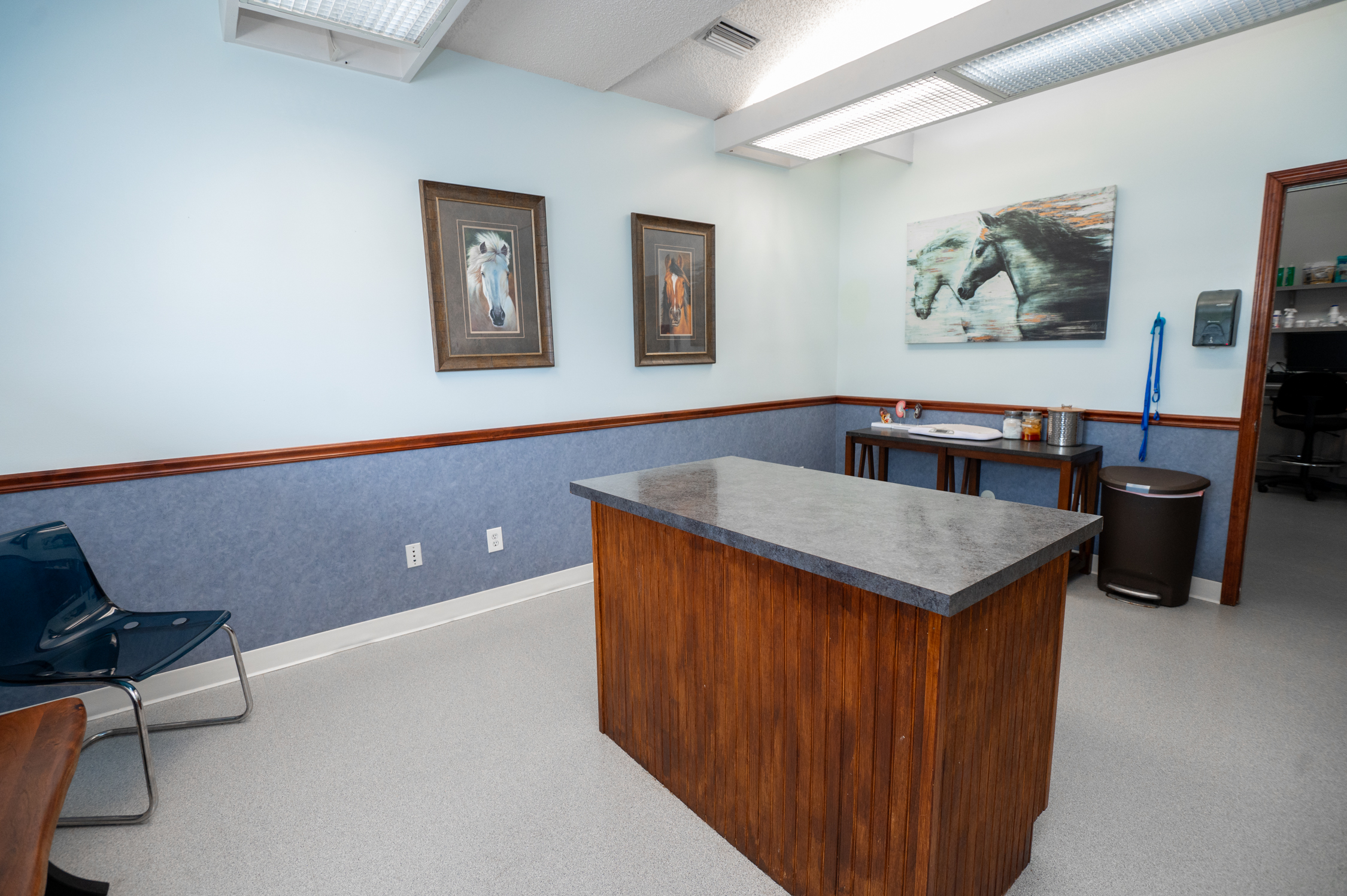 Clinic Photos Of Our Veterinary Clinic In Jacksonville, FL